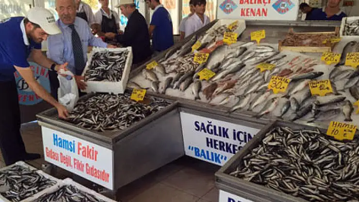 Marmara Denizi'nde hamsi bolluğu