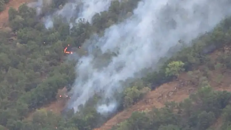 Hakkari'de 5 ayrı noktada orman yangını