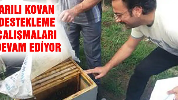 ARILI KOVAN DESTEKLEME ÇALIŞMALARI DEVAM EDİYOR