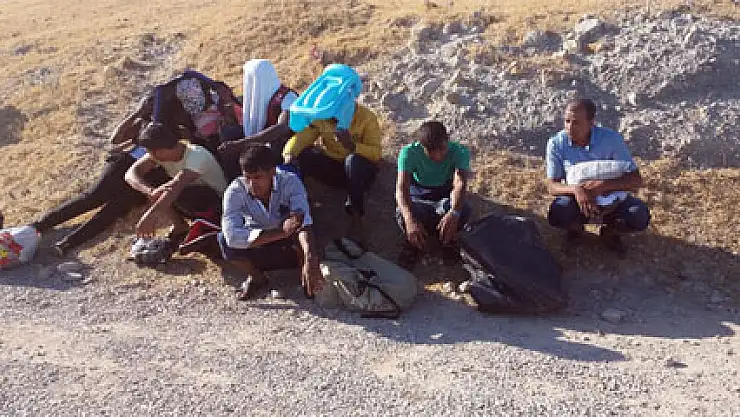 Arama yaparken 11 kaçak göçmen buldular