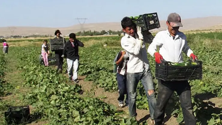 Çiftçi borç yapılandırması istiyor