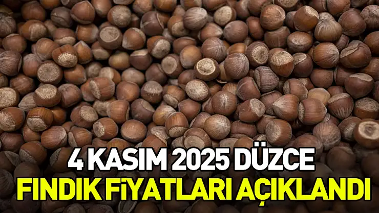 4 Kasım 2025 Düzce Fındık Fiyatları Açıklandı