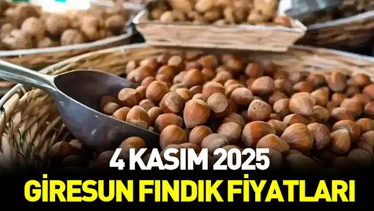 4 Kasım 2025 Giresun'da fındık ne kadar?