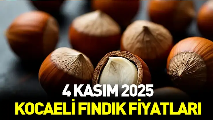 4 Kasım 2025 Kocaeli fındık fiyatları açıklandı! İlçe ilçe güncel liste...