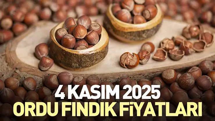 4 Kasım 2025 Ordu Fındık Fiyatları