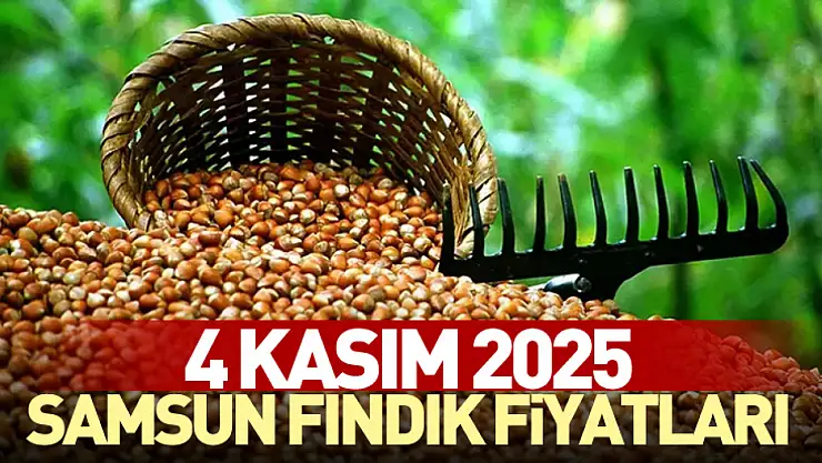 4 Kasım 2025 Samsun Fındık Fiyatları