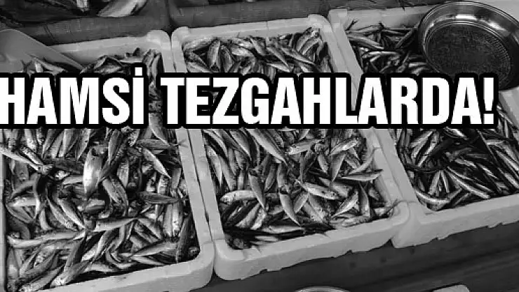 HAMSİ TEZGAHLARDA!