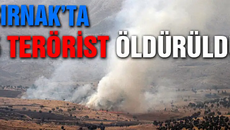 Şırnak'ta 5 terörist öldürüldü