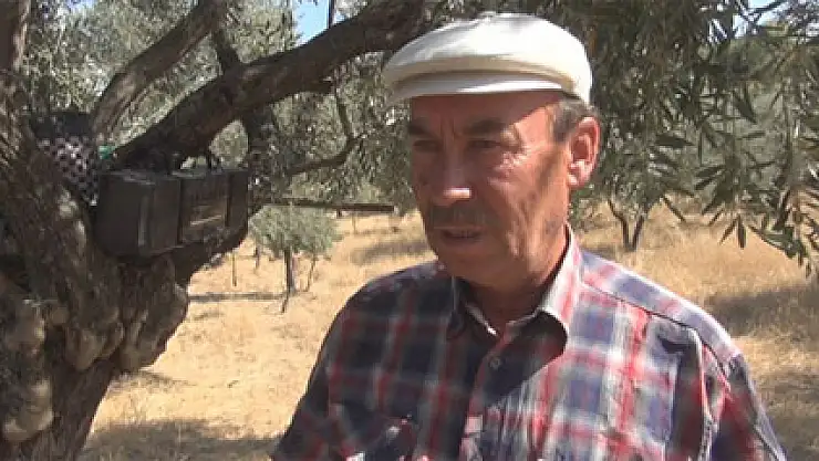 Yabani hayvanların psikolojini arabeskle bozuyorlar