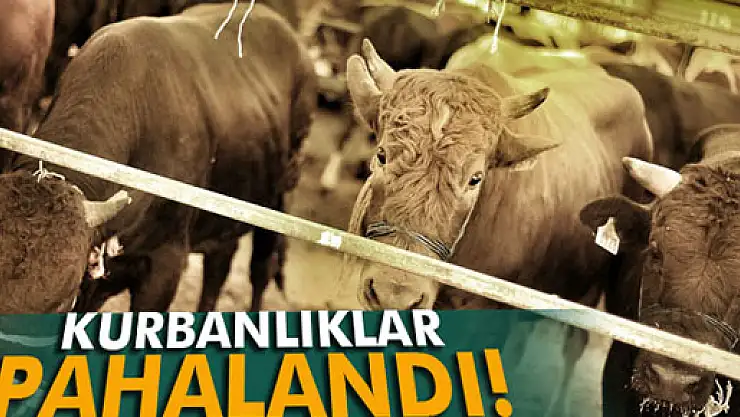 Suudi Arabistan'da da kurbanlıklar pahalandı