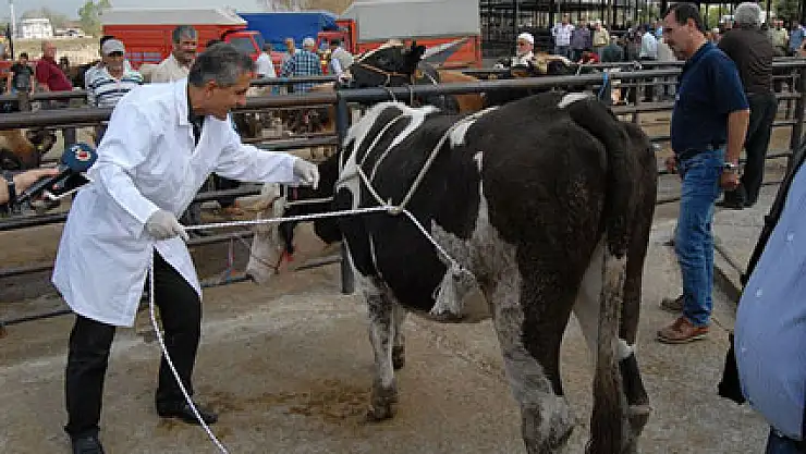 Uzmanından kurbanlık yatırmanın püf noktaları