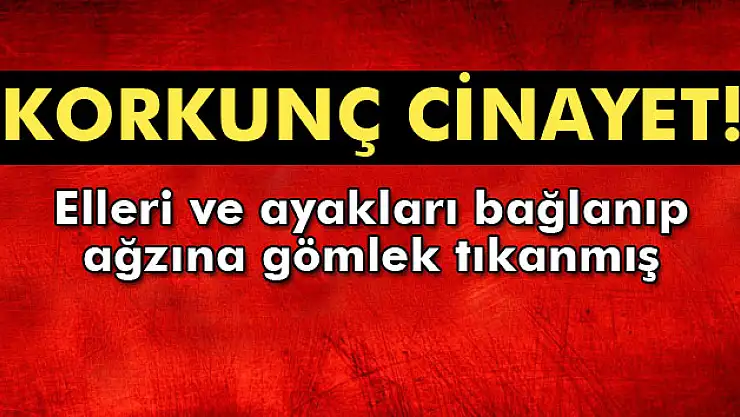 Mersin'de vahşi cinayet