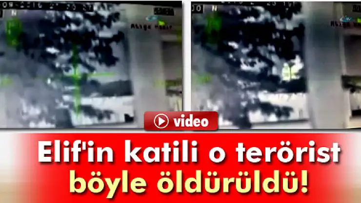 Elif'in katili o terörist böyle öldürüldü 