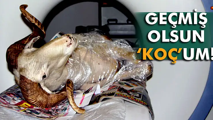 Felçli koça tomografi