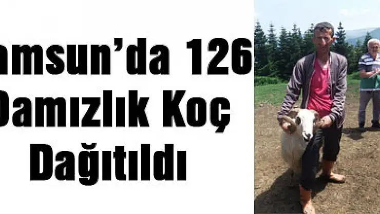 Samsun'da 126 Damızlık Koç Dağıtıldı