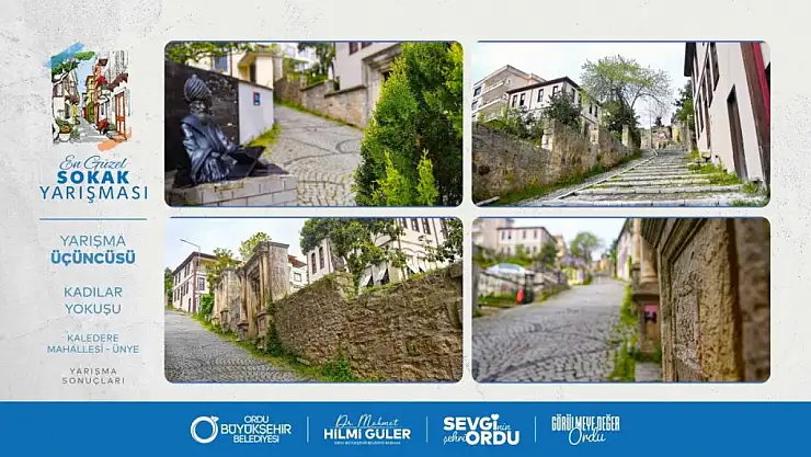 41 Mahalle Seçildi: Ordu'da Gören Hayran Kalıyor!