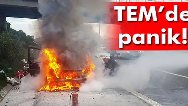 TEM'de panik: Yol ortasında cayır cayır yanmaya başladı