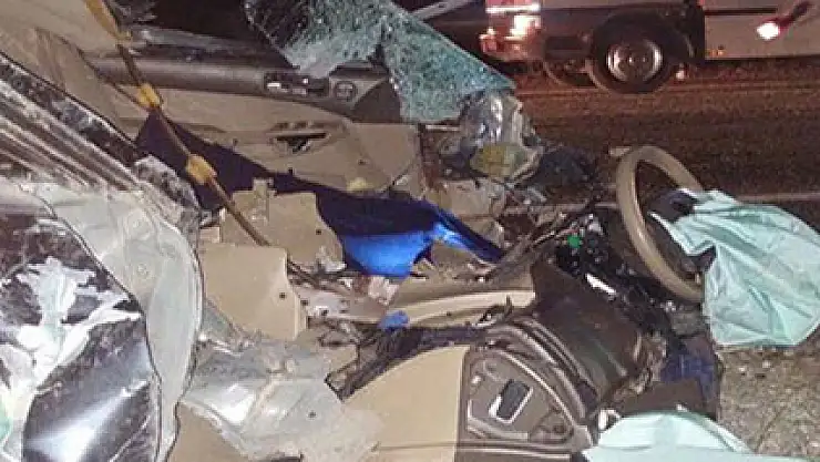 Yola çıkan hayvan kazaya neden oldu: 2 ölü, 7 yaralı