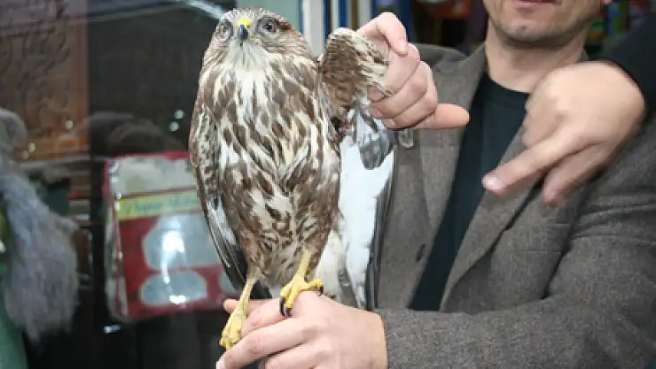 Yaralı Doğan' a esnaf Yardımı…