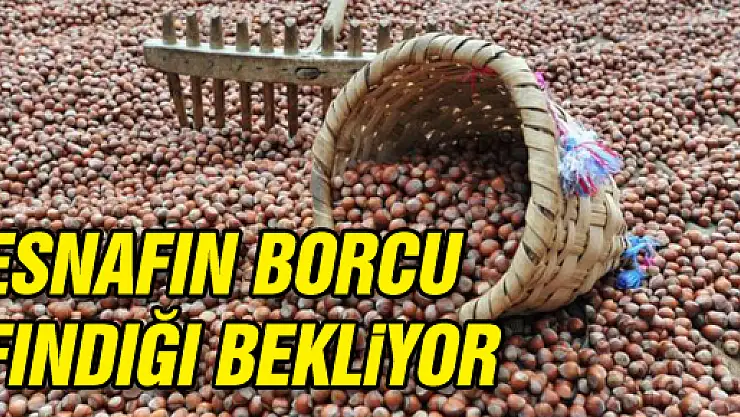 'Esnafın borcu fındığı bekliyor'