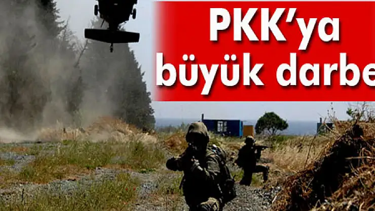 Lice'de PKK'ya büyük darbe