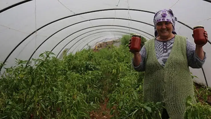 TİKA Yörükler'e sahip çıkıyor