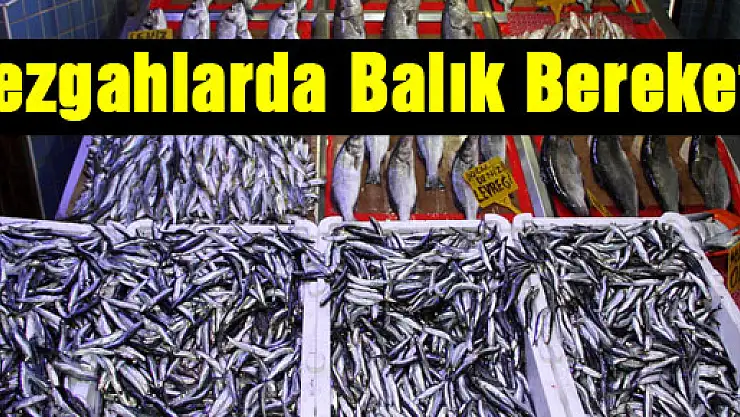 Tezgahlarda Balık Bereketi