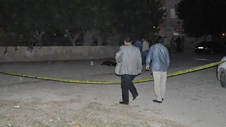 Ablasından boşanan eniştesini öldürdü