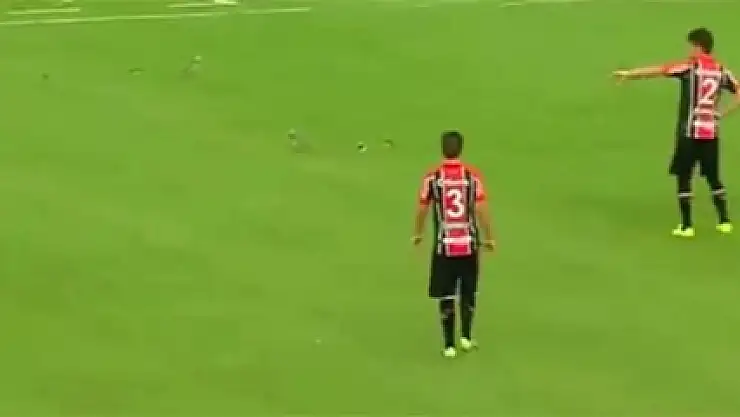 Kuş sürüsü sahaya girdi maç durdu