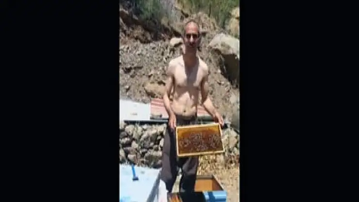Şemdinli'de arıcılık yapan çiftçinin hazin sonu
