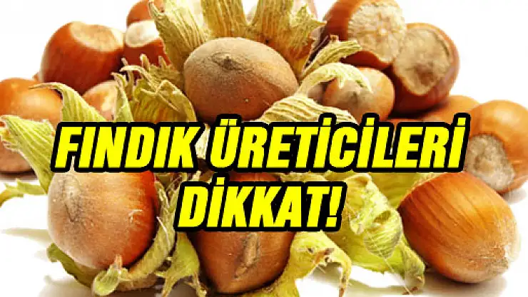 Fındık üreticileri Dikkat!