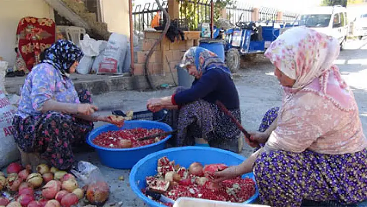 Para etmeyen nar ekşi oluyor