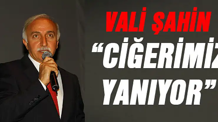 VALİ ŞAHİN: 'CİĞERİMİZ YANIYOR'