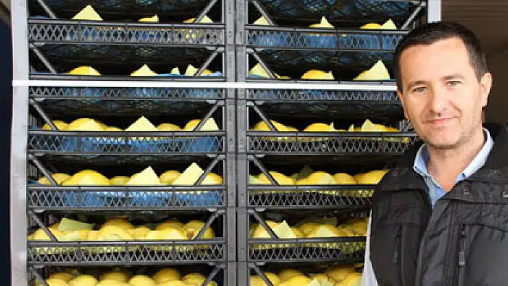 Rusya'ya ihracat yapan meyve üreticileri tedirgin