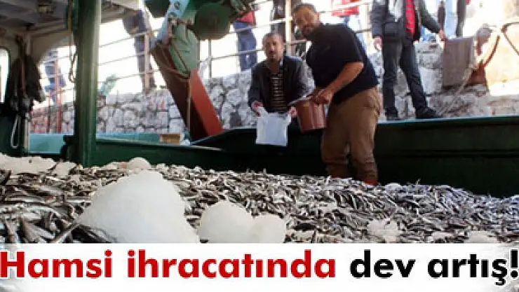 Hamsi ihracatında dev artış