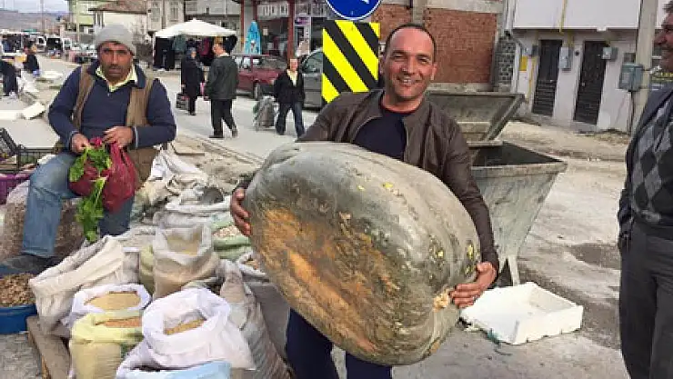 65 KİLOLUK KABAK ŞAŞIRTTI