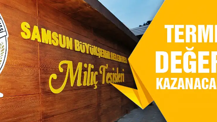 'MİLİÇ SAHİLİ PROJESİ TERME'YE DEĞER KAZANDIRACAK'