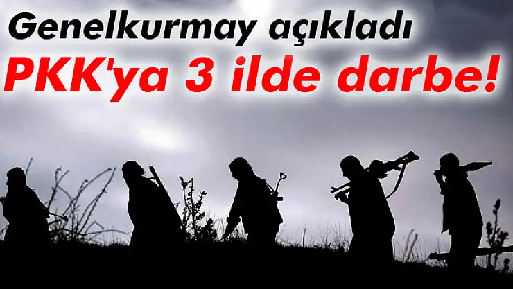 PKK'ya 3 ilde operasyon!