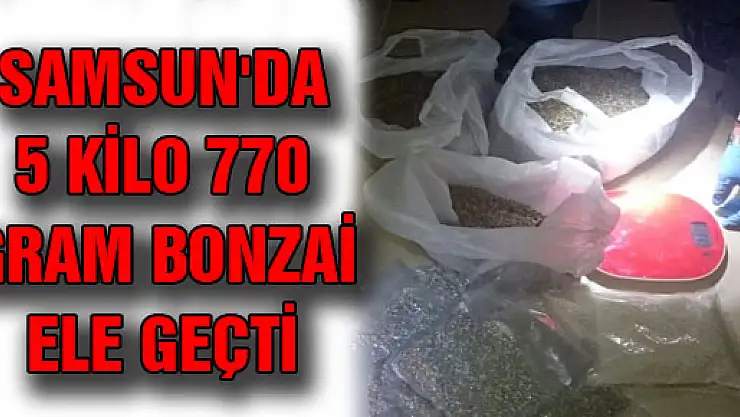 SAMSUN'DA 5 KİLO 770 GRAM BONZAİ ELE GEÇTİ