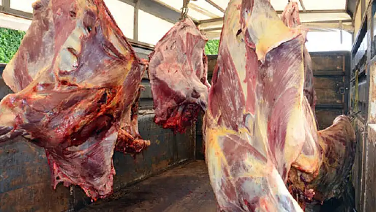 Kaçak et operasyonunda tam 43 ton kaçak et ele geçirildi