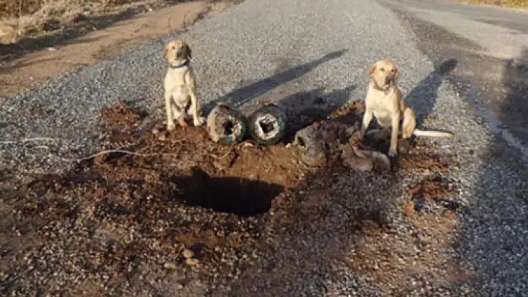 PKK'ya ağır darbe!