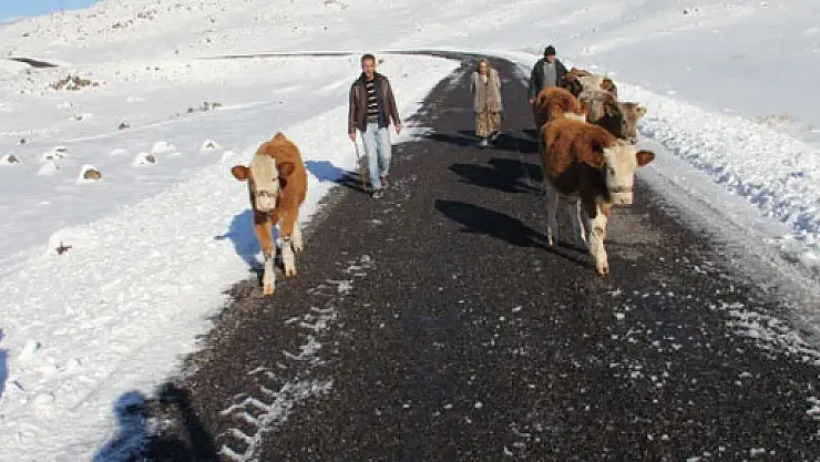 Yaylacıların zorlu dönüş yolculuğu