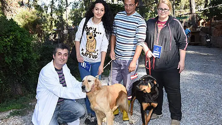 117 sokak köpeği yurt dışına gönderildi