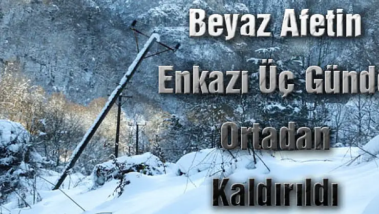 Beyaz Afetin Enkazı Üç Günde Ortadan Kaldırıldı