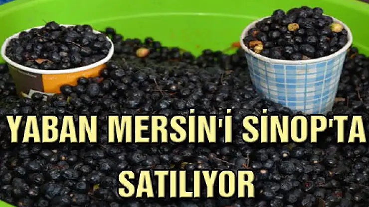 YABAN MERSİN'İ SİNOP'TA SATILIYOR