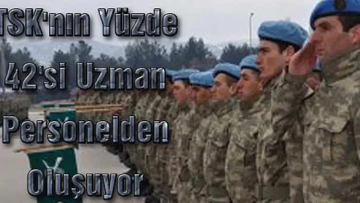 TSK'nın Yüzde 42'si Uzman Personelden Oluşuyor