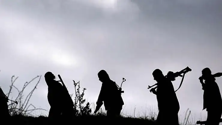 PKK neden şehre indi?