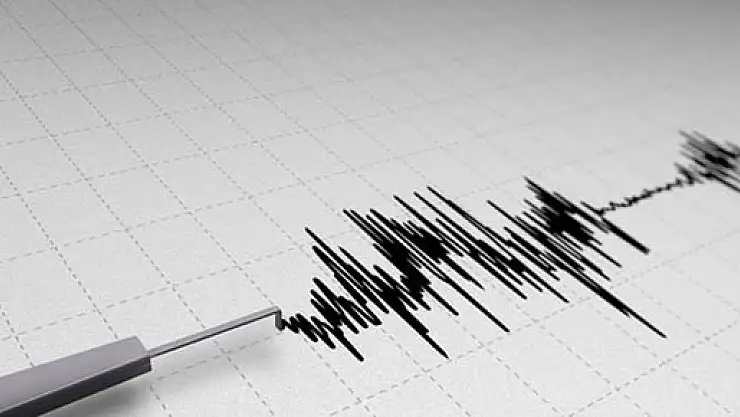 Bingöl yine sallandı