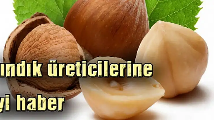 Fındık üreticilerine iyi haber