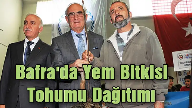 Bafra'da Yem Bitkisi Tohumu Dağıtımı